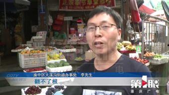 广电爆料新闻,揭秘娱乐圈最新热点事件 第1张 广电爆料新闻,揭秘娱乐圈最新热点事件 第1张